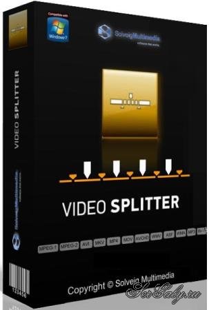SolveigMM Video Splitter 7.3.2006.08 Business Edition Final