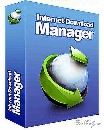 Internet Download Manager 6.38 Build 14 Final Portable