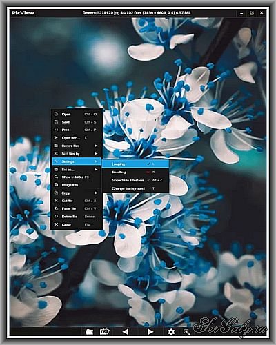 PicView 2.3.2 Portable by Ruben2776
